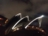 江海寄余生